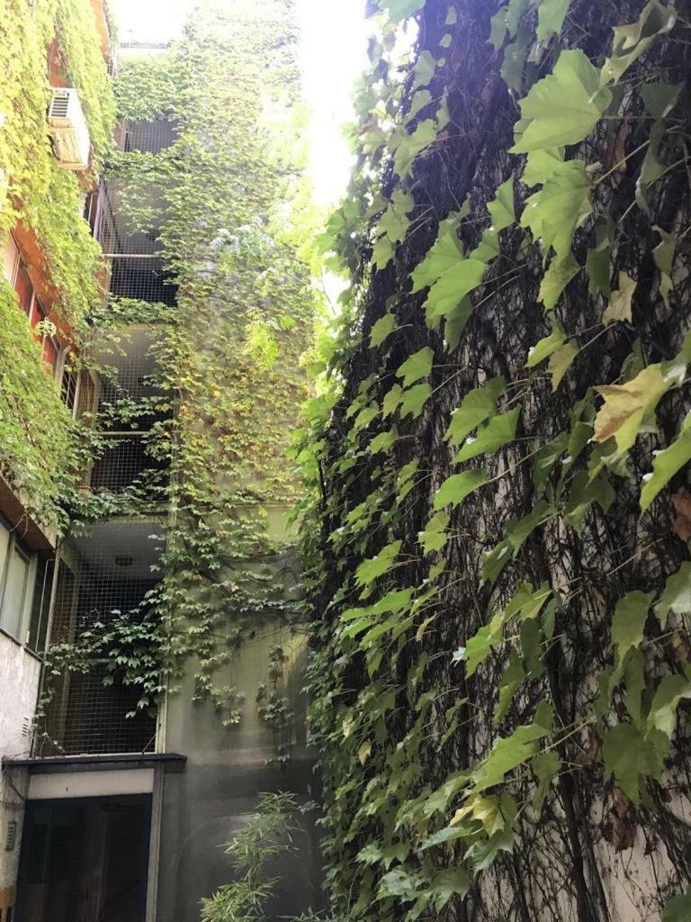 Departamento De 2 Dormitorios, Excelente Ubicacion Mendoza Dış mekan fotoğraf